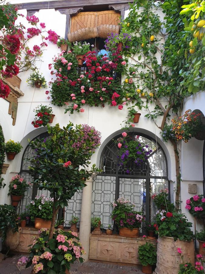 Apto. Planta Baja Y Cochera Barrio San Basilio Cordova Esterno foto