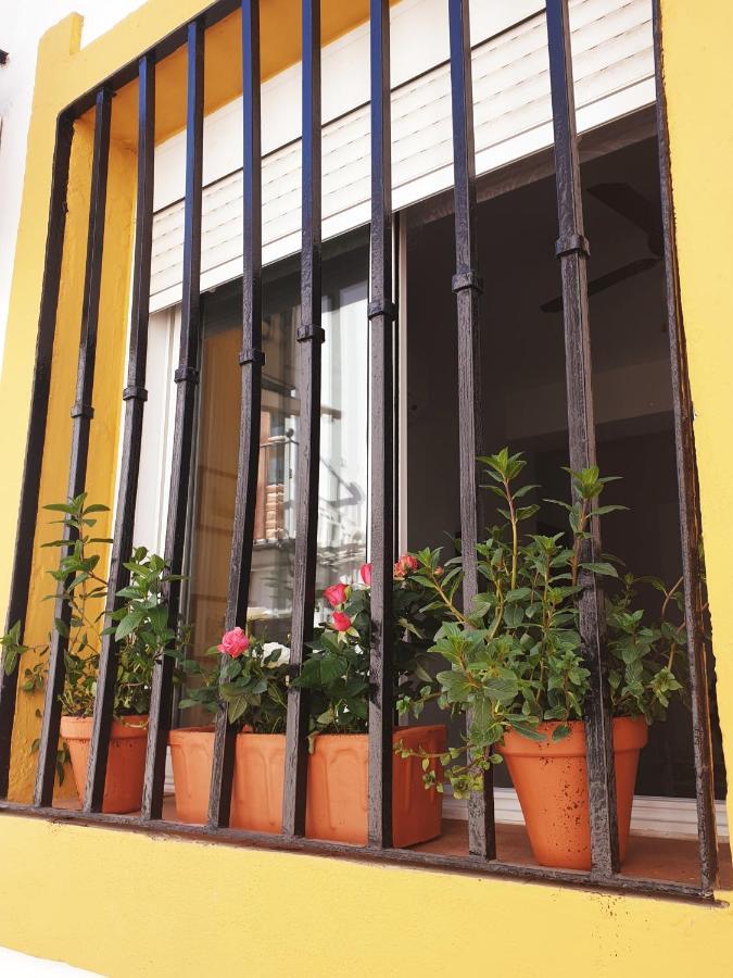 Apto. Planta Baja Y Cochera Barrio San Basilio Cordova Esterno foto