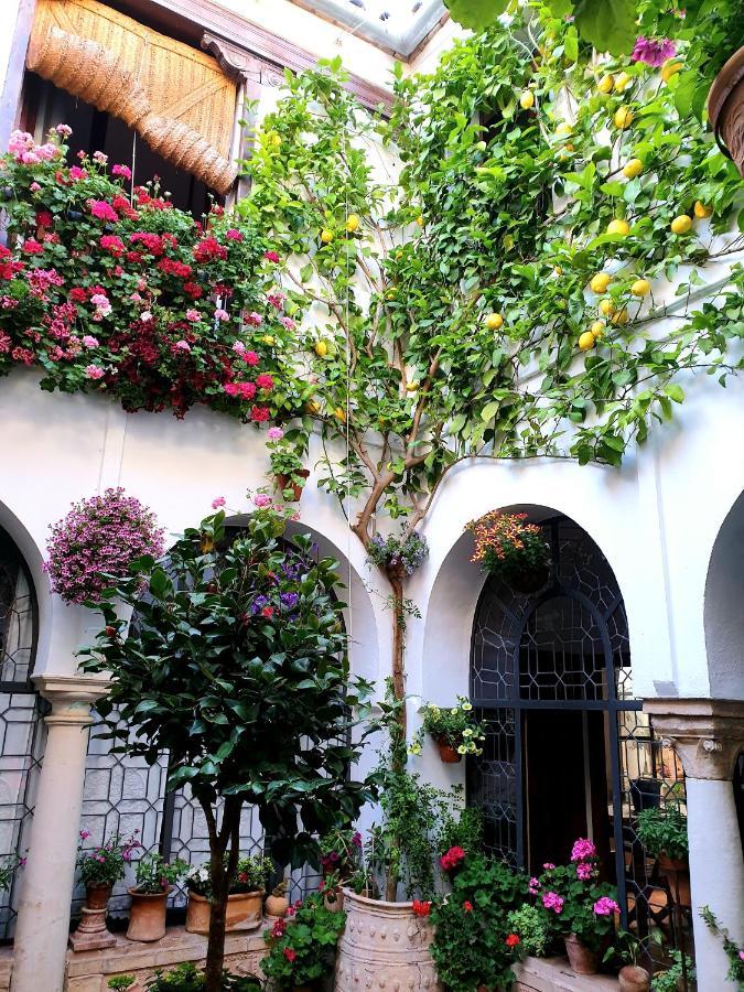 Apto. Planta Baja Y Cochera Barrio San Basilio Cordova Esterno foto